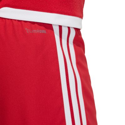 5. adidas Tiro 26 Competition Match Shorts für Herren, rot-weiß, KA6179
