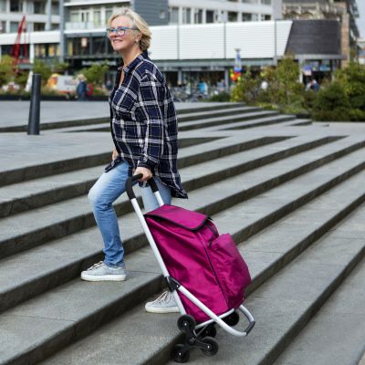6. Expert Premium 604352 Einkaufswagen