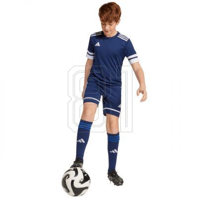 8. adidas Squadra 25 Jr Shorts JN5458