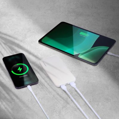 10. Wozinsky Powerbank Li-Po 10000mAh 2 x USB weiß (WPBWE1)