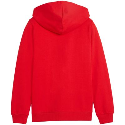 4. Puma teamGoal Casuals Kapuzen-Sweatshirt für Kinder rot 658596 01