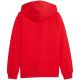 4. Puma teamGoal Casuals Kapuzen-Sweatshirt für Kinder rot 658596 01