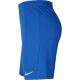 3. Nike Dry Park III NB M BV6855 463 Shorts