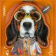 6. Nimmy Cool&Cute 2.0 Hunde-Hülle für iPhone 17 Pro Max mit magnetischer Aufhängung – Orange