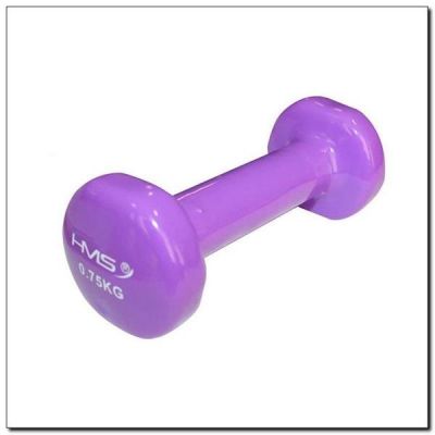 9. 17023 GUSSEISENGEWICHT MIT VINYLBESCHICHTUNG 0,75 KG