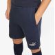 7. Puma Shorts M 657387 06