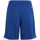 2. adidas Tiro 23 League Jr IB8094 Shorts