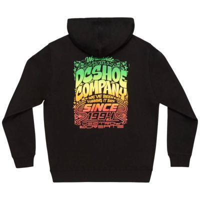 2. DC Hot Box Zip Hoodie ADYSF03146-KVJ0 Schwarz L
