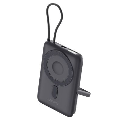 2. 4smarts Enterprise Pocket Wireless Powerbank Space Grau