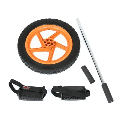 25. Body Sculpture Fitness Power BB 712 Rolle, Rad