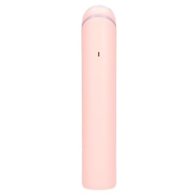 6. Stay Beauty Booster | Gesichtspflegegerät | Massage, EMS