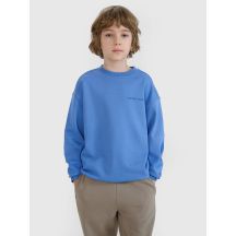Jungen-Sweatshirt ohne Kapuze, ohne Reißverschluss 4F 4FJWSS25TSWSM1713-34S