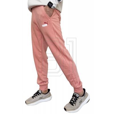 2. Puma Ess+ 2 Col Logo Pants M 586768 62