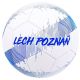 2. Lech Poznań Weiß-Blaues Wappenball