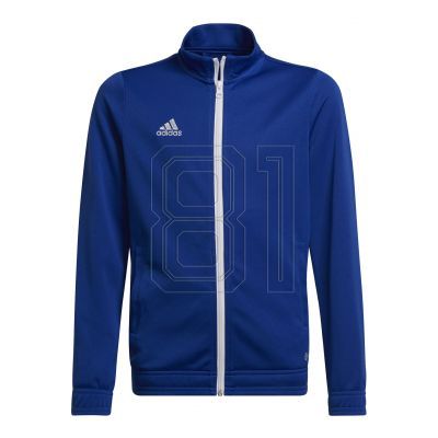 Adidas Junior Entrada 22 Track Jr HG6288 Sweatshirt