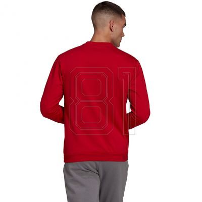 6. Adidas Entrada 22 Sweatshirt M HB0577
