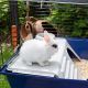 20. FERPLAST Rabbit 120 - Kaninchenkäfig