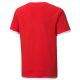 2. Puma teamLIGA Trikot Jr 704925 01