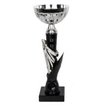Triumph Cup 1992