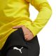 12. Puma Team Goal Slim Training Pants M 659037 03