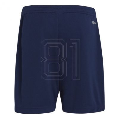 2. Adidas Entrada 22 Jr H57500 shorts
