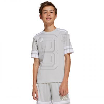 5. Adidas Squadra 25 Jr T-shirt JJ0061