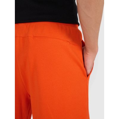 4. Herren Jogginghose 4F 4FRSS25TSHOM686-70S