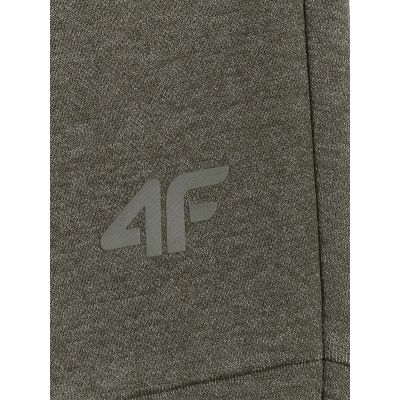 7. Herren-Jogginghose 4F 4FRAW25TTROM1691-43M