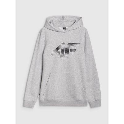 5. Herren Sweatshirt mit Kapuze, offen, 4F 4FWMM00TSWSM1766-27M