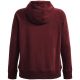 4. Under Armour Rival Fleece HB Hoodie W 1356317 690