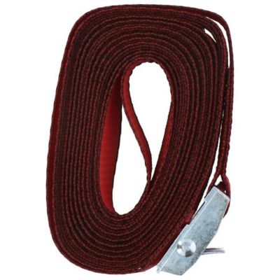 3. Transport-Spanngurt mit Spanner und Gummi, 5 Stück, Dunlop