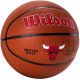 2. Wilson Team Alliance Chicago Bulls Ball WTB3100XBCHI