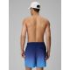 10. Herren-Boardshorts 4F 4FRSS26UBDSM224-31S