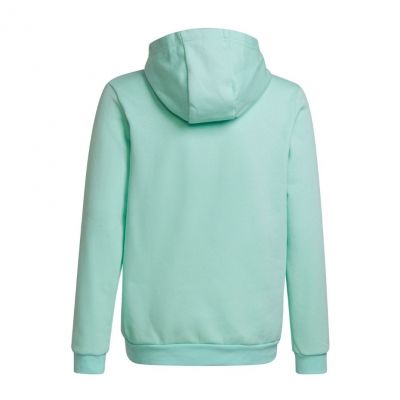 2. Adidas Entrada 22 Hoody JR HC5066 Sweatshirt