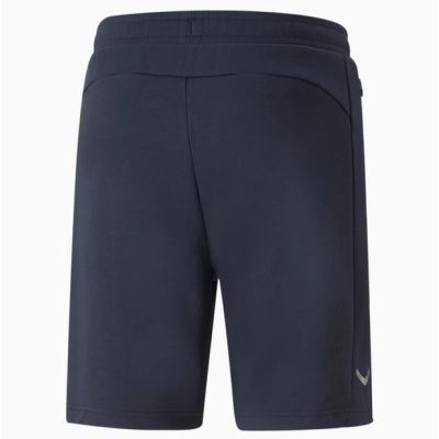 6. Puma Shorts M 657387 06