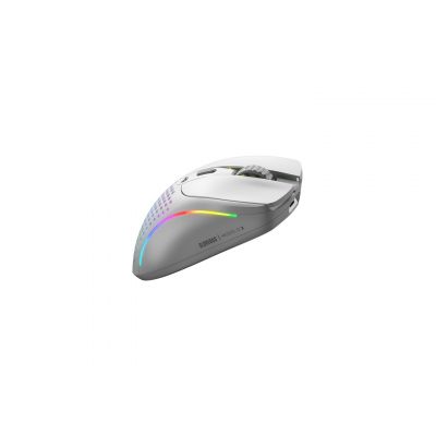 8. Glorious Gaming Glorious Model D 2 Wireless Gaming-Maus - weiß