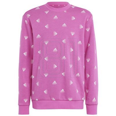 6. Adidas Bluv Swt Jr IC5573 Sweatshirt