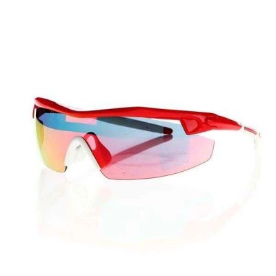 12. Goggle E690-3 Sonnenbrille