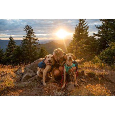 9. Ruffwear Front Range Day Pack Hunderucksack, Blue Moon, Größe: XS