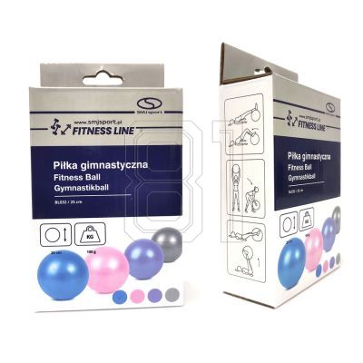 2. Pilates Gummi-Gymnastikball PVC BL032 25 cm HS-TNK-000009387