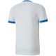 6. Puma teamGOAL 23 Trikot M 704171 12