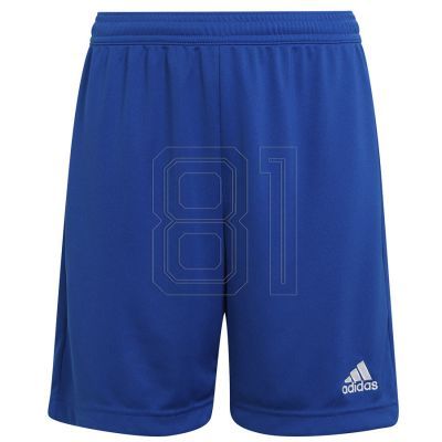 4. Adidas Entrada 22 Short Y Jr HG6291 Shorts