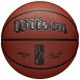 Wilson NBA Authentic City Paris Ball WZ2016004XB Basketball