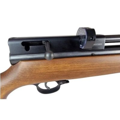 4. K.PN. BEEMAN CHIEF II PLUS mit PCP-Regler - Holz k. 5,5 mm Ekp