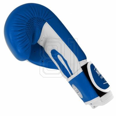 3. MASTERS RBT-TRW 01210-02 Leder-Boxhandschuhe