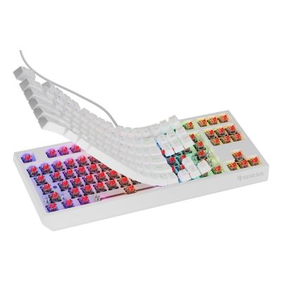 5. GENESIS Thor 230 TKL Gaming-Tastatur, USB, QWERTY, US-Englisch, Weiß
