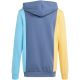 7. Adidas Cb Ft Hd Jr sweatshirt IS2689
