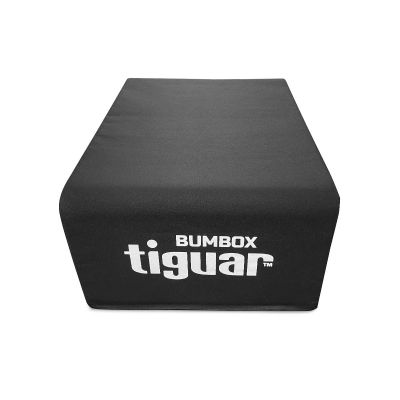 2. tiguar bum box