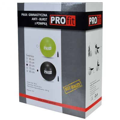 2. PROfit 55cm Gymnastikball mit Pumpe DK2102