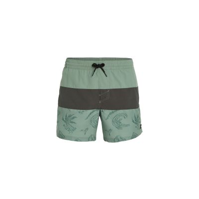 O'Neill Mix&Match Cali Block Badeshorts 15'' M 92800613820